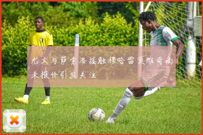 尤文与萨索洛接触穆哈雷莫维奇尚未报价引发关注